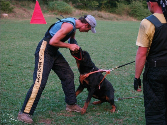 Summer training camp - Jelenec - 2007